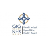 Hywel Dda University Health Board United Kingdom Jobs Expertini